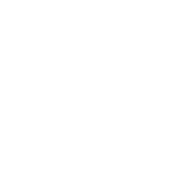 American Disability Law